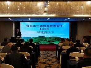 科技賦能，精準施策——市畜牧技術推廣站舉辦專題培訓班，全力助推生豬復產保供給