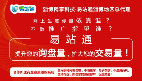 淄博網(wǎng)泰科技與濱州網(wǎng)絡(luò)推廣公司 技術(shù)推廣的本地化服務(wù)解析